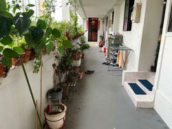 Blk 523 Ang Mo Kio Avenue 5 (Ang Mo Kio), HDB 3 Rooms #582521121